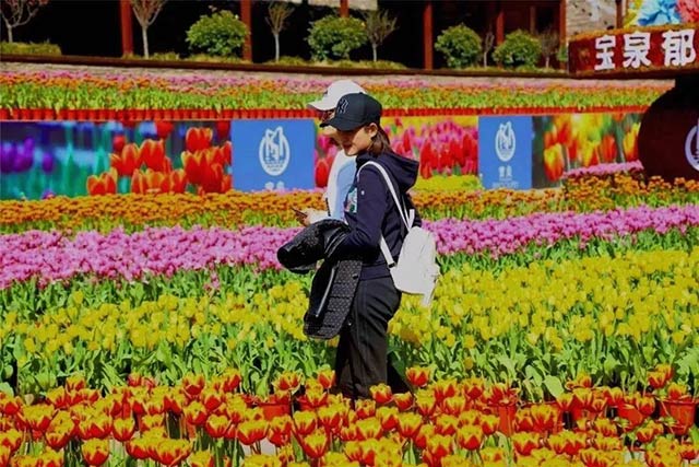 百亿游戏(中国区)官方网站入口铝业铝板厂家组织员工宝泉游玩